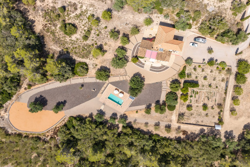 Bird`s eye view