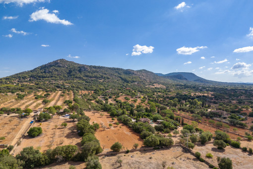 Mountain view