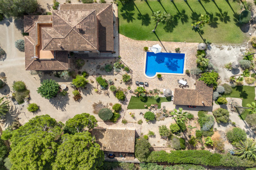 Bird view