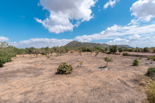 Extension land