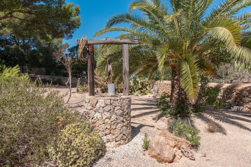 Stylish Garden