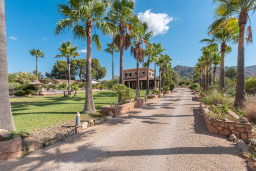 Grand palm avenue