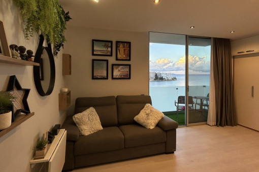 Living area with sofa bed