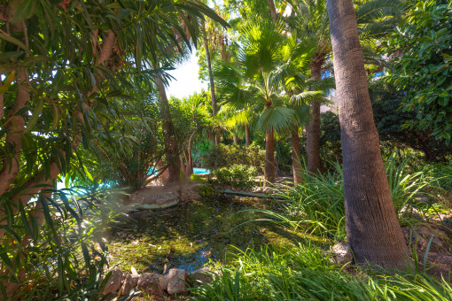 Gardens