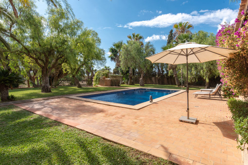 Beautiful pool area