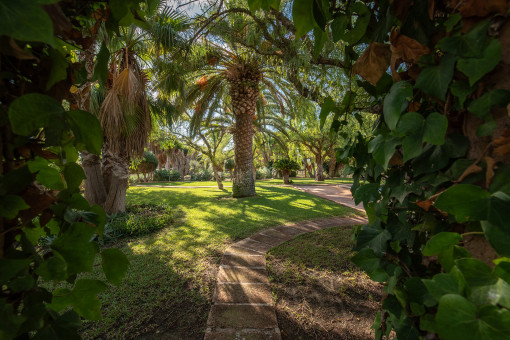 Enchanted garden