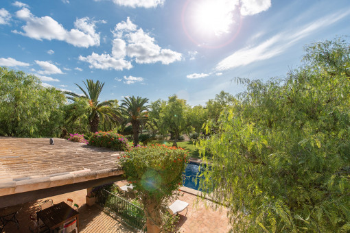 View at the garden