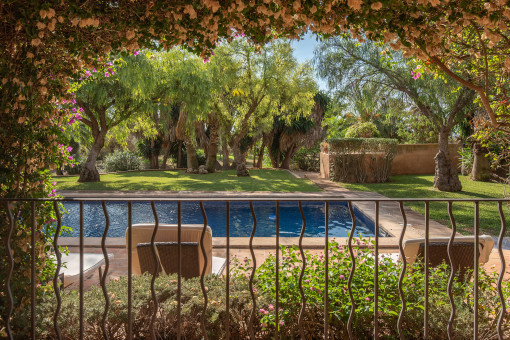 Mediterranean garden