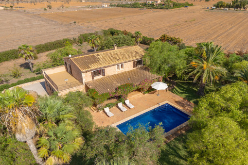 Large finca-estate
