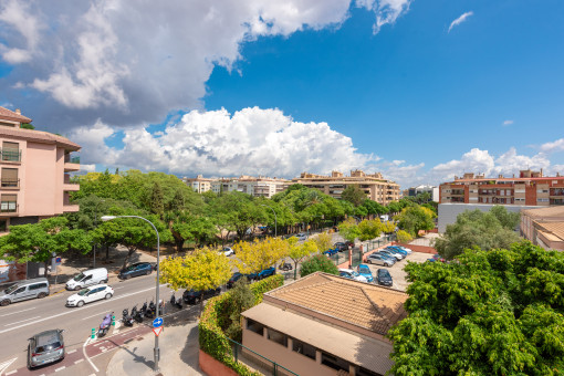 apartment in Palma City