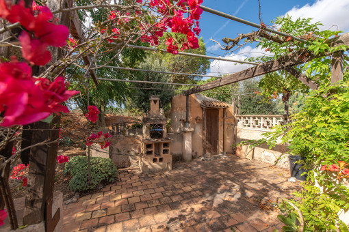 Charming barbecue area