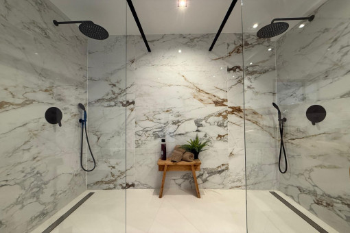 Luxury bathroom with double shower