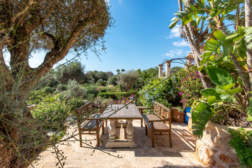 Terrace with green view