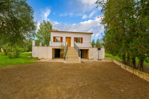 Driveway