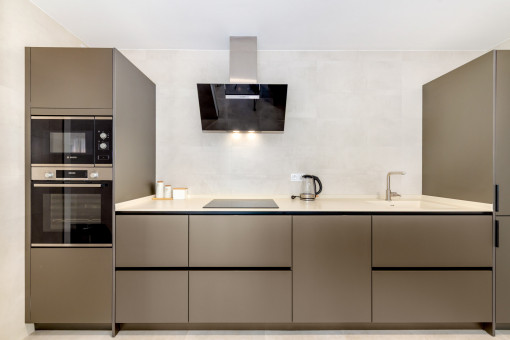 Modern kitchen with high quality appliances