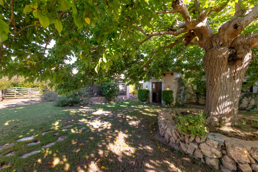 Surrounded by lush greenery and Mediterranean nature