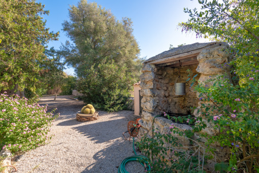 Well-maintained garden
