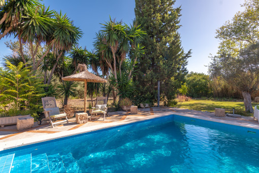 Swimming pool surrounded by spacious sun terraces