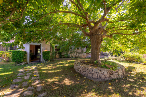 Large garden with Mediterranean flair