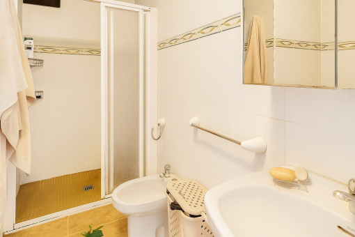 Bathroom of the lower apartment
