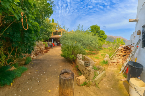 Garden area of the lower living level