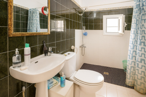 Bathroom of the lower apartment