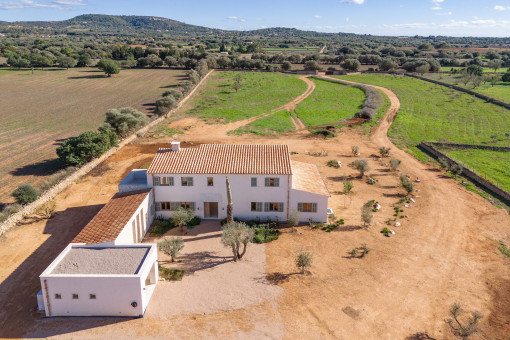 Finca with panoramic views