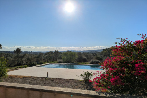 Pool area with a spacious sun terrace surrounded by Mediterranean vegetation