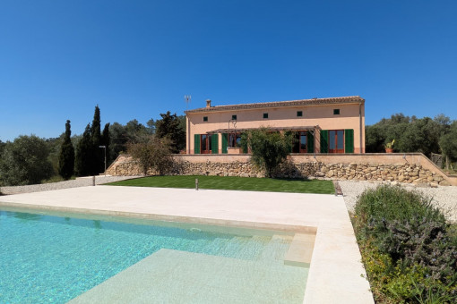 View from the garden