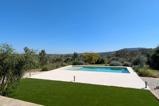 View from the terrace