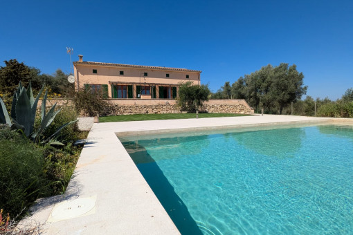 View from the terrace