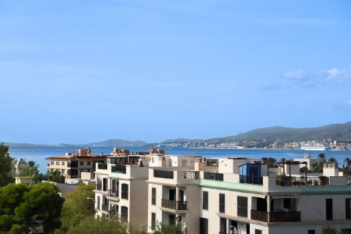 View from the rooftop