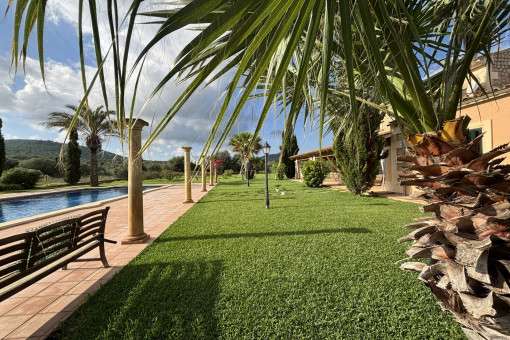 Lovely garden