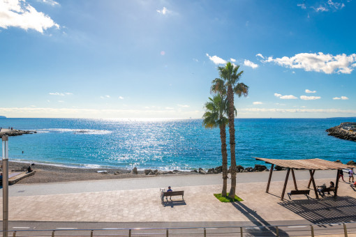 apartment in Portixol