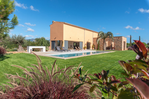 Green oasis surrounding the house