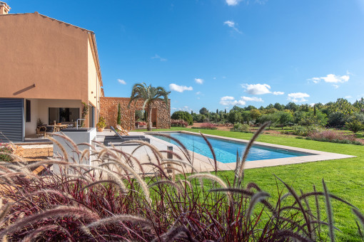 Nature-inspired garden landscape in island style