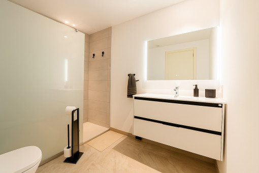 Second en-suite shower room with frosted glass and modern fittings