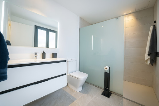 Modern en-suite shower room with frosted glass partition