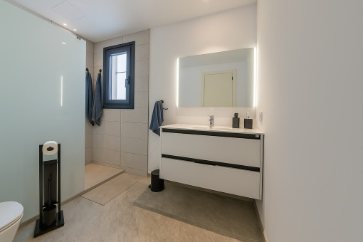 En-suite bathroom with walk-in shower and illuminated mirror