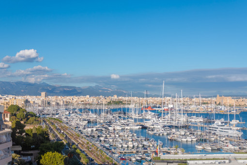 apartment in Paseo Maritimo Palma