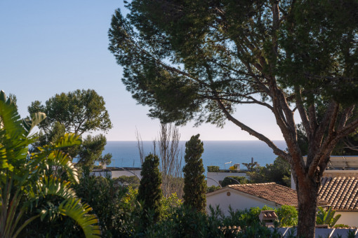 Dream view from the sun terrace