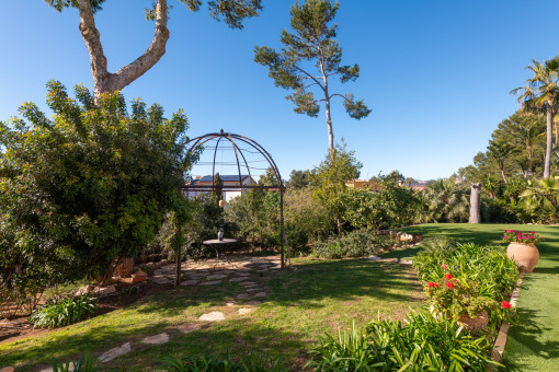 Mediterranean landscaped dream garden