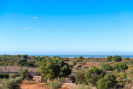 Sea views