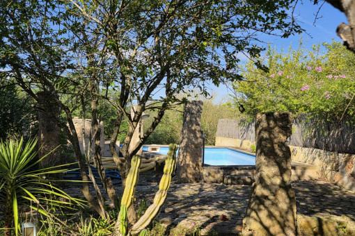 Nice Garden Vegetation 