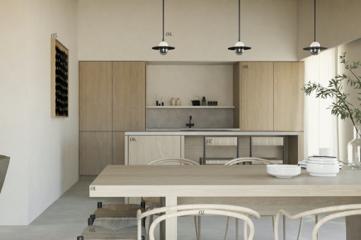 Kitchen renders