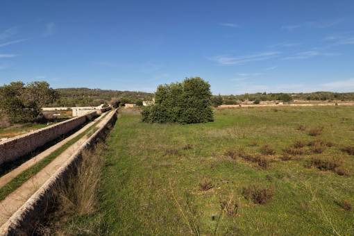 Traditional Stonewall