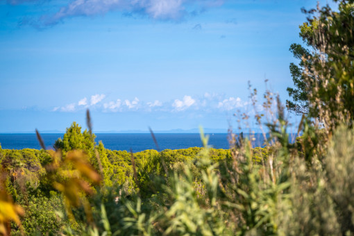 Terrace with direct sea view