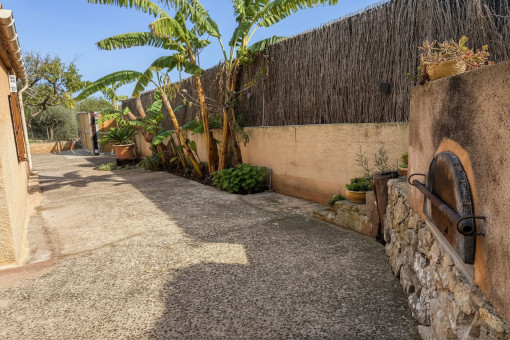 Stone oven and banana plant