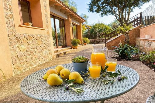 The house is surrounded by terraces