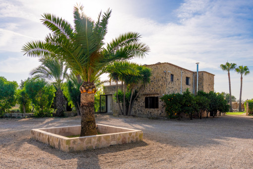 Charming and modern Finca near Algaida